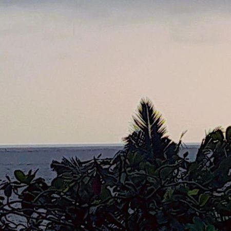 Mirissa Village Мирисса Экстерьер фото